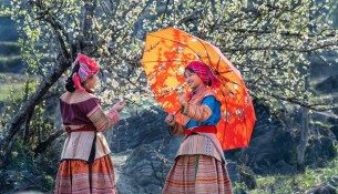 As Tet approaches, the festive atmosphere covers every corner of Vietnam