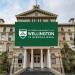 1710856401094-Victoria-University-of-Wellington-Master-of-Fine-Arts